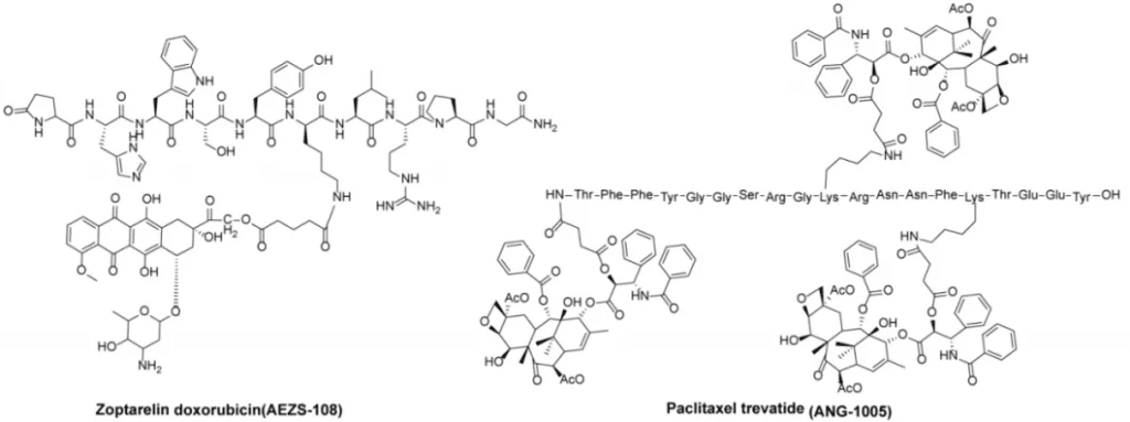 Figure 5. Structural Characteristics of ANG1005 and Zoptarelin Doxorubicin