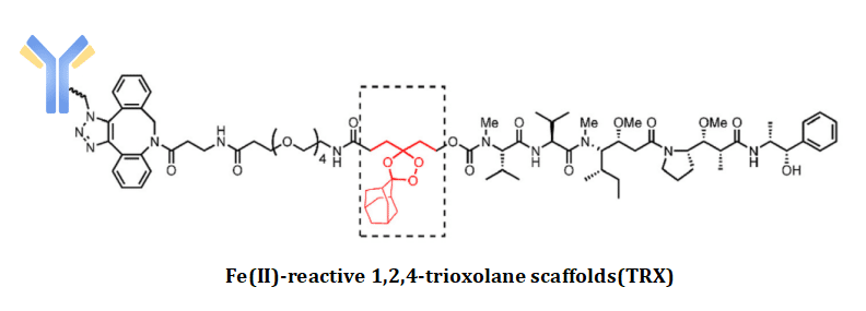 Figure 7 Fe(II)-reactive 1,2,4-trioxolane scaffolds(TRX)

