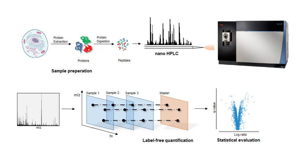 Orbitrap-Mass-Spec-for Protein Analysis