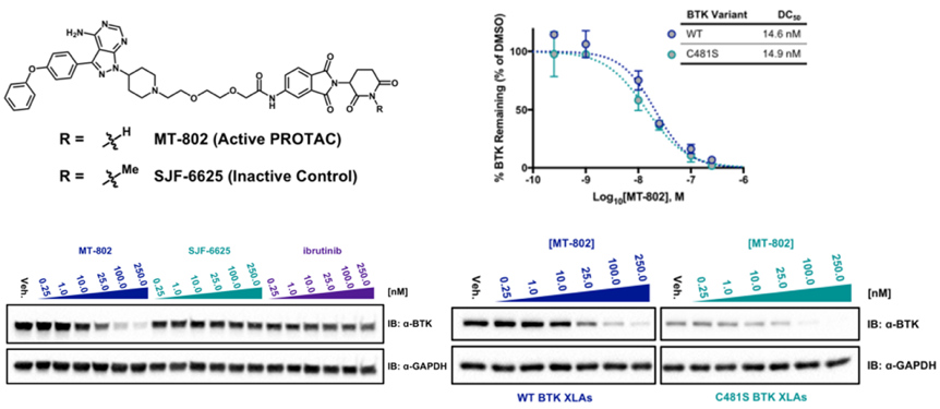 PROTAC-11