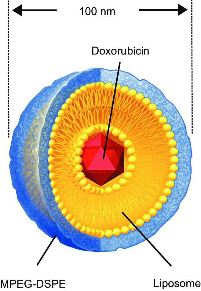 liposomal doxorubicin